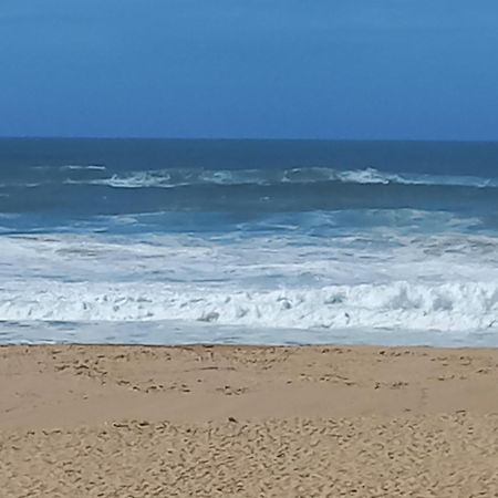 Plage Et Foret Pobral Экстерьер фото