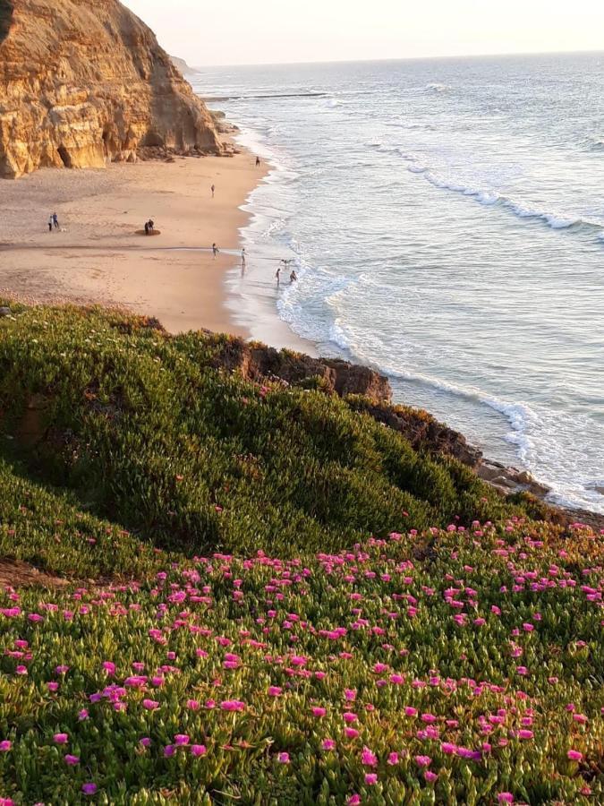Plage Et Foret Pobral Экстерьер фото