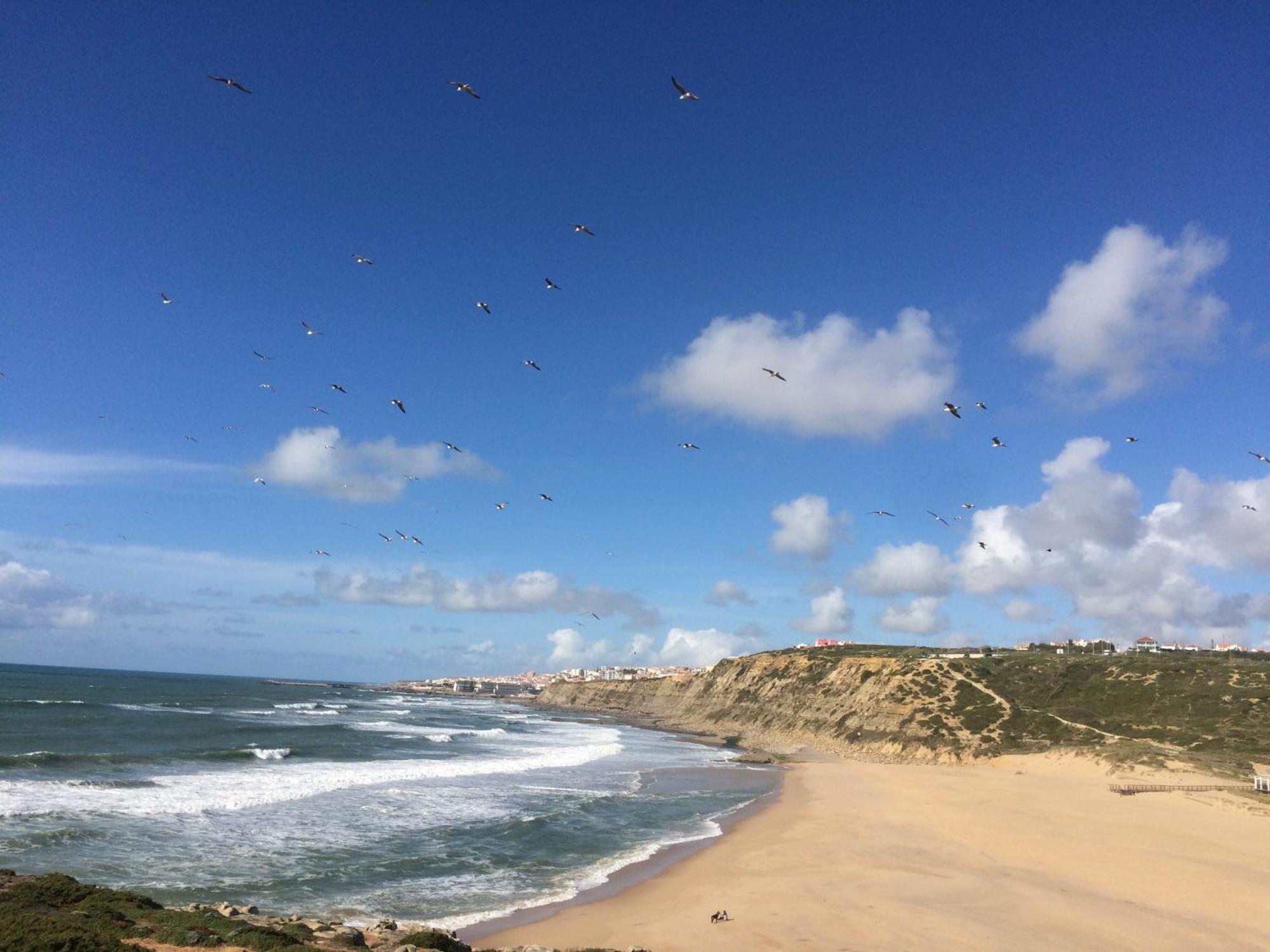 Plage Et Foret Pobral Экстерьер фото